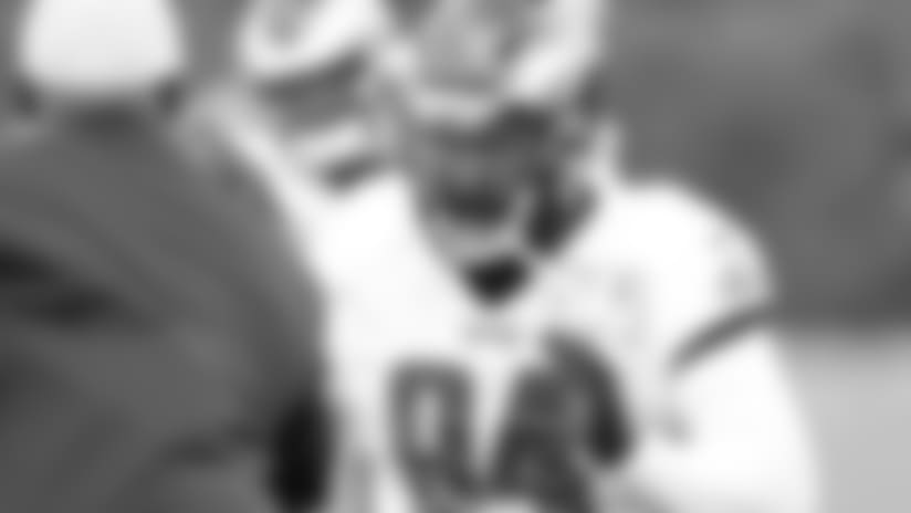 DT Haloti Ngata