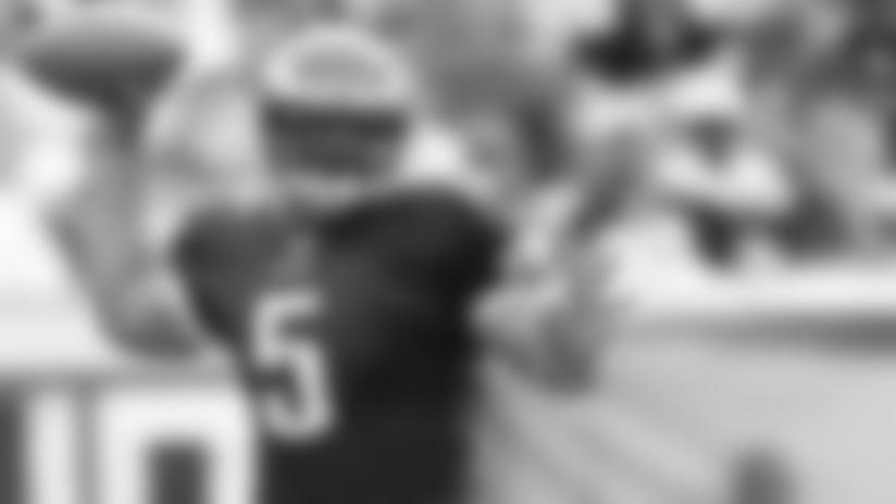 black-mcnabb.jpg