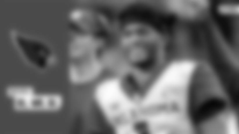 Cardinals-mock-5