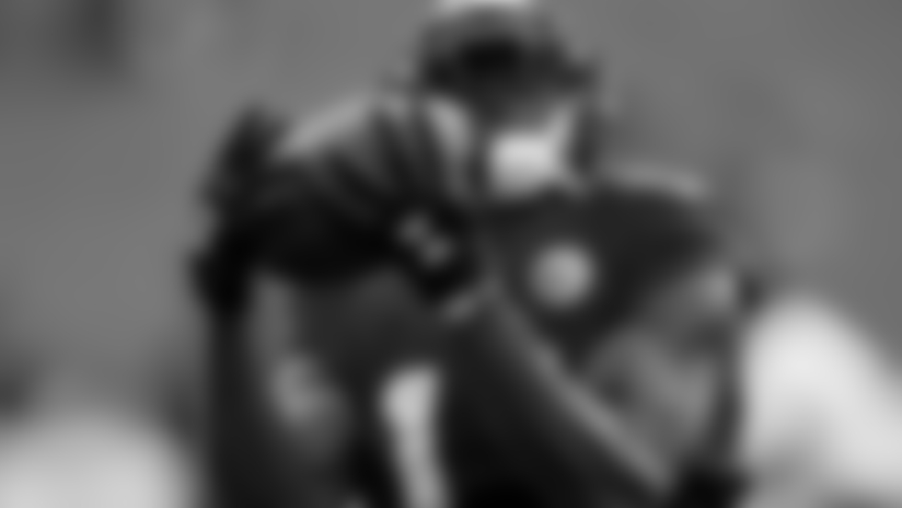 SFB_Julio-Jones.jpg