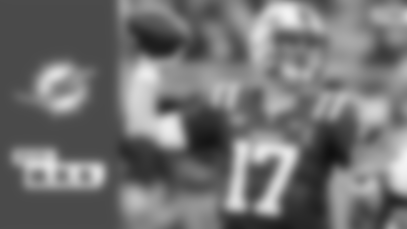 Dolphins-mock5