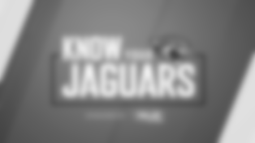 Know Your Jaguars: Another Job for a Day