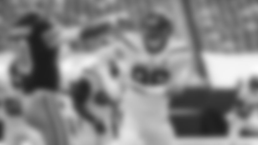 E_SZ3_1047-goose-thumb