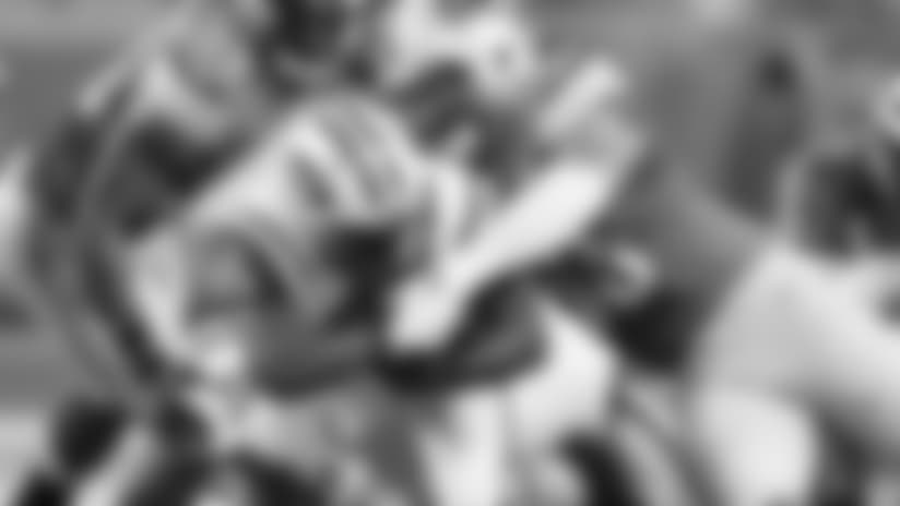 AP_248092261890-powell-lions.jpg