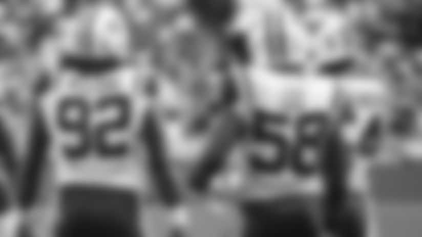 How Do NFL Analysts Think the Jets Will Adapt to Gregg Williams' Defensive Scheme?