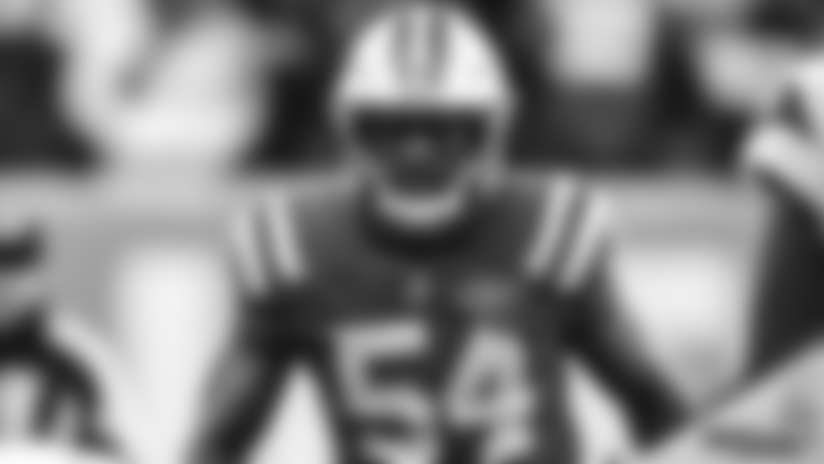 Pro Bowl: Avery Williamson Season Highlights