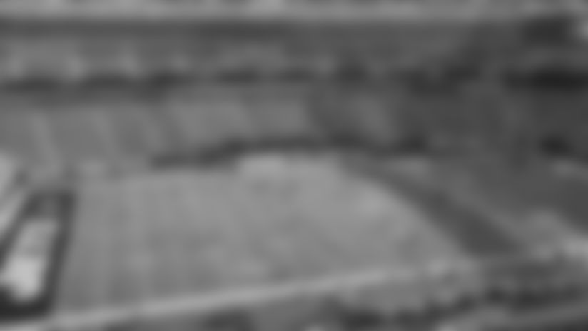 inactives-story-dolphins