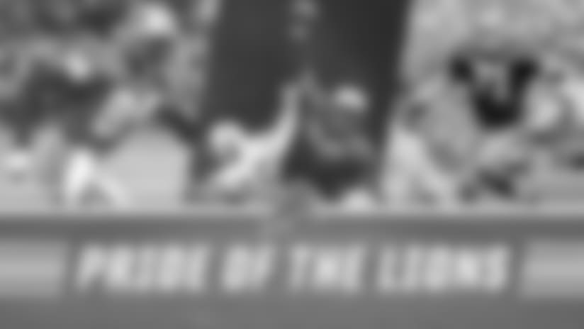 PRIDE_OF_THE_LIONS_WEBSITE