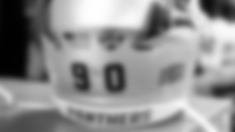 Panthers wearing "One Carolina" helmet decal