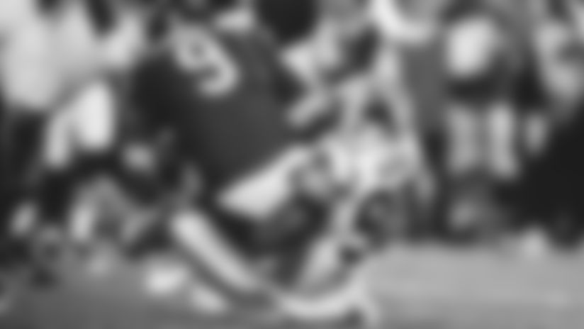 haynes_sack