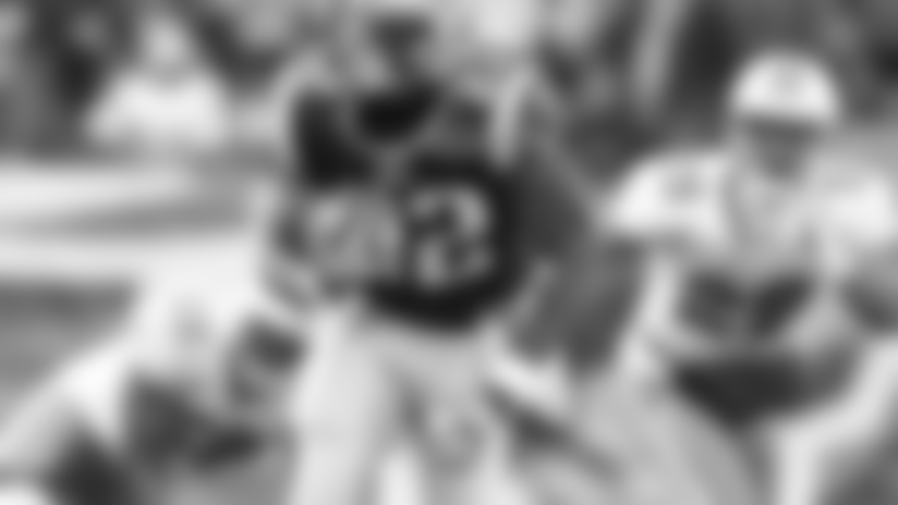 320-ridley-dolphins-preview.jpg