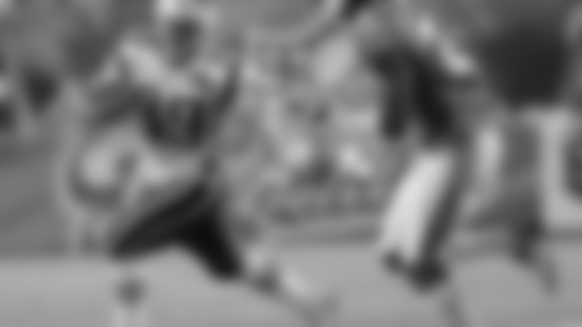 320-woodhead-dolphins-preview.jpg
