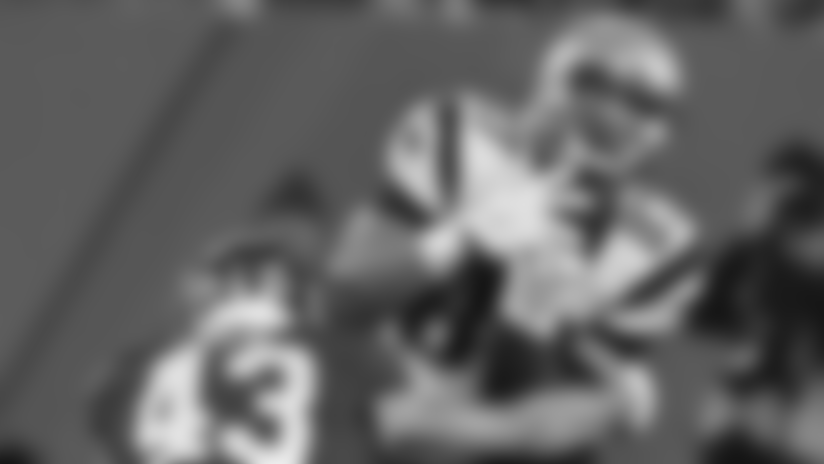 11029e0ee16a46438c5a460f44a9c3eb.jpg