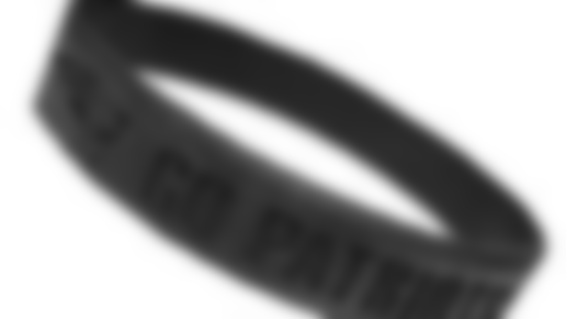 wristband_200px.jpg