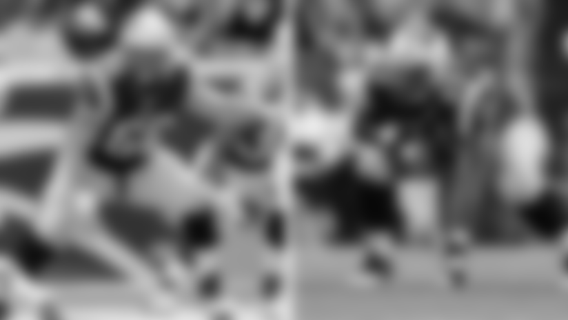 20151006-stork-shaq.jpg