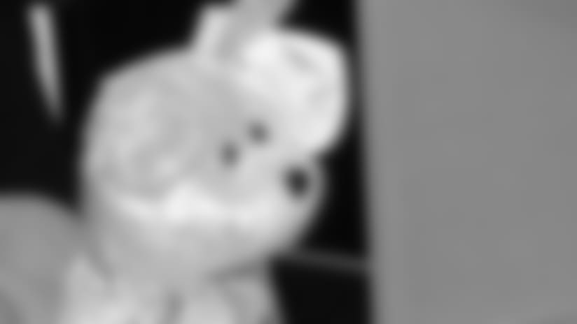 beanie-baby-20160331.jpg