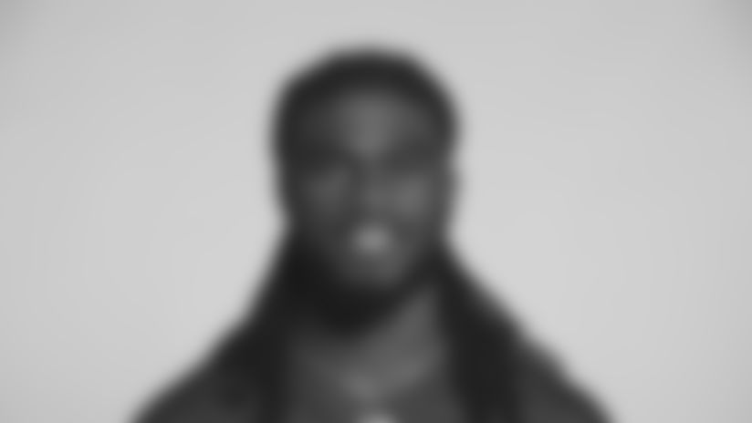 This is a photo of Quincy Adeboyejo of the Baltimore Ravens NFL football team. This image reflects the Baltimore Ravens active roster as of Friday, June 28, 2019. (AP Photo)