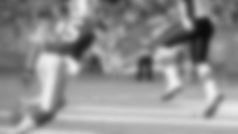 320-hernandez-dolphins-preview.jpg