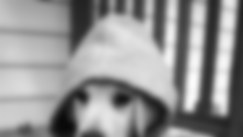 20150416-bbbday-costumes-dog.jpg