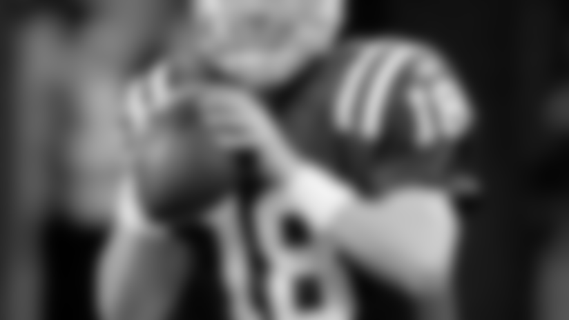 20101227_pmanning.jpg