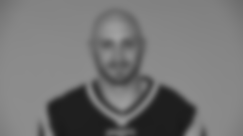 Brian Hoyer.