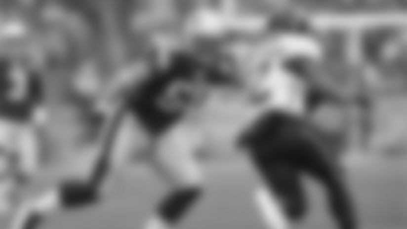 320-jaguars-ninko-jdrew-for-preview.jpg