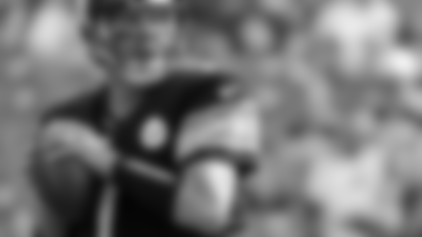 083115_viewfromabove_steelers.jpg