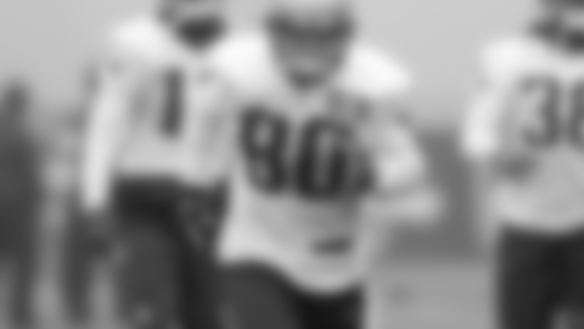 Danny Amendola 3u5a7419.jpg