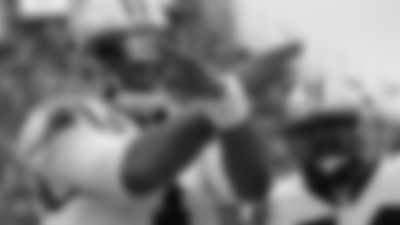 600-2015cam-newton-vfa.jpg
