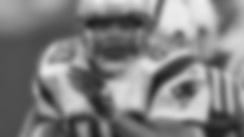 brown_31929203.jpg