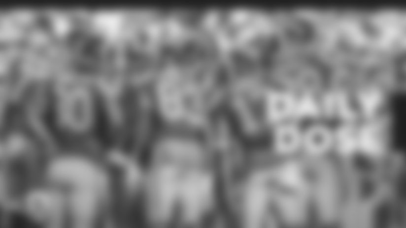 MON_DD_Web