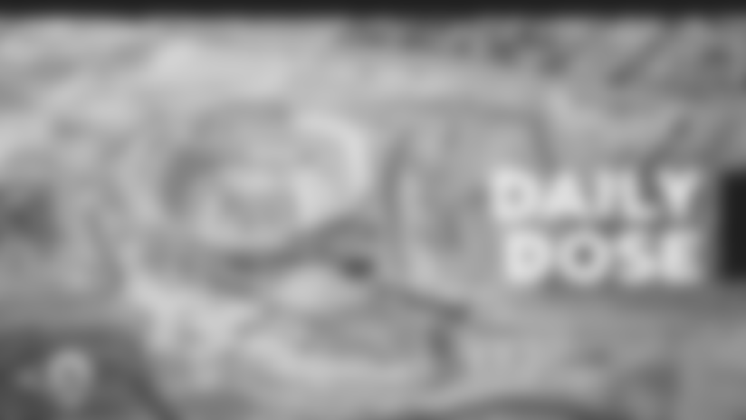 190416_DD_Web