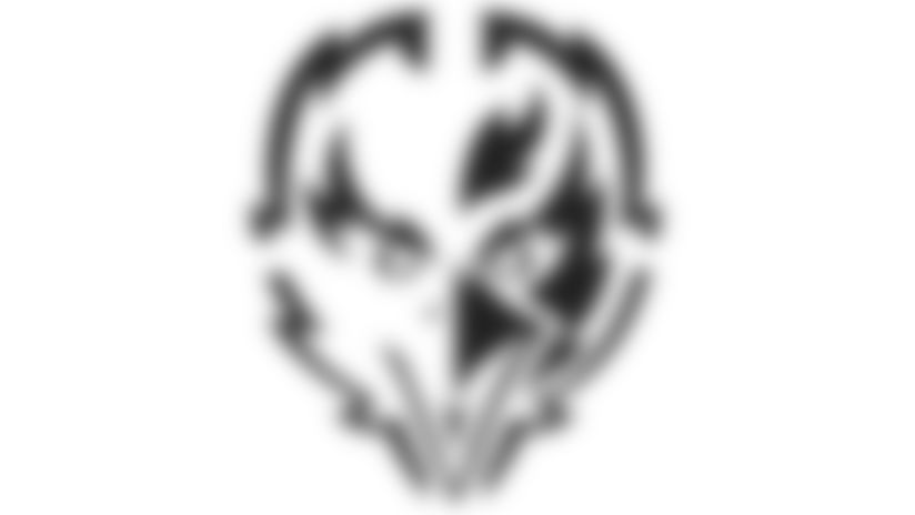 ravens-halloween-pumpkin-carving-stencils-baltimore-ravens
