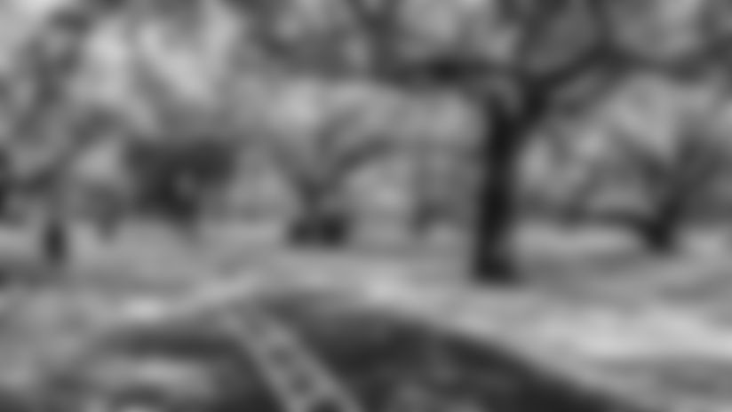 Walk-With-Graff-Audubon-Park