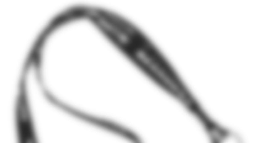 3_lanyard.jpg