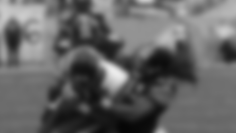 08_hou_polamalu_timmons_95750.jpg