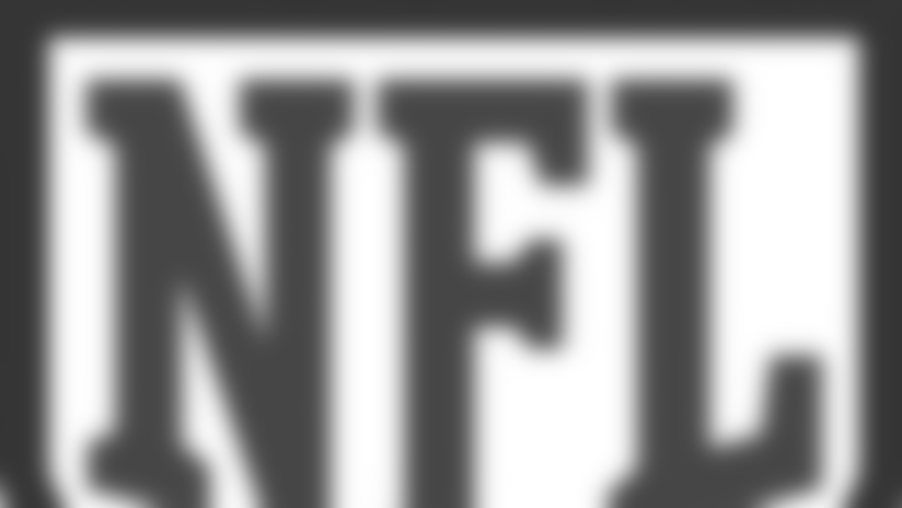 08_nfl_shield_96139.jpg