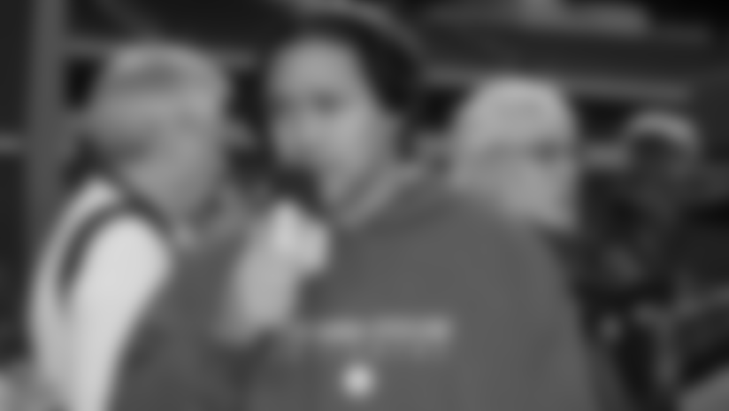 02012011_Diary_Polamalu.jpg