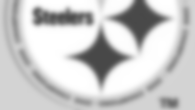 08_champs_steelersweb__10392512_103934.jpg