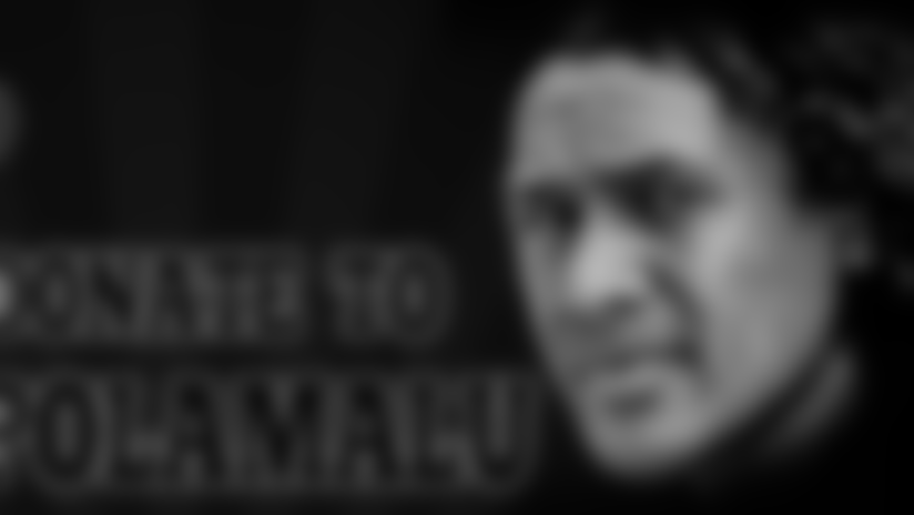 Team_Polamalu_logo.jpg