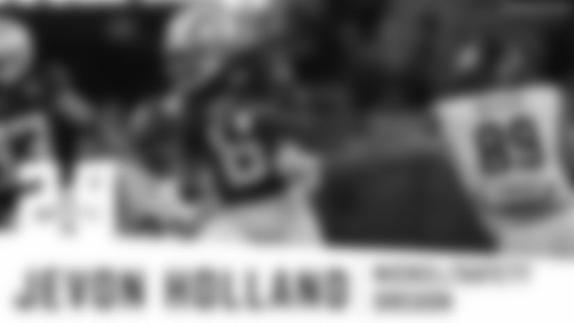 29_graphic_Holland