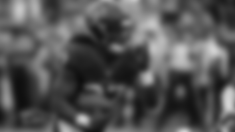 An image from the Nov. 12, 2017 regular season away game against the Los Angeles Rams. The Texans lost 7-33.