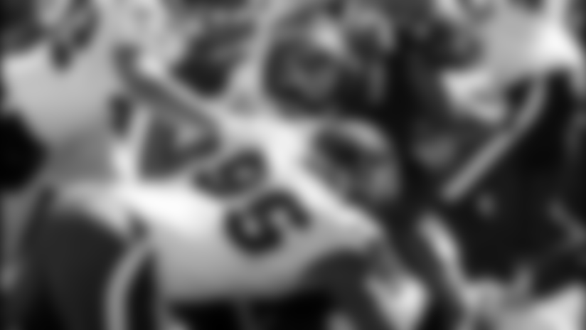 defense_jaguars101304.jpg