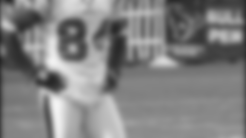 moses_fans_night081804.jpg