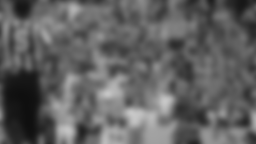 500bluelandry5432.jpg