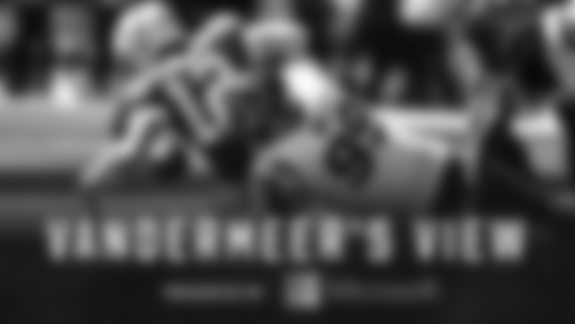 Vandermeer's View: The Nemesis Returns