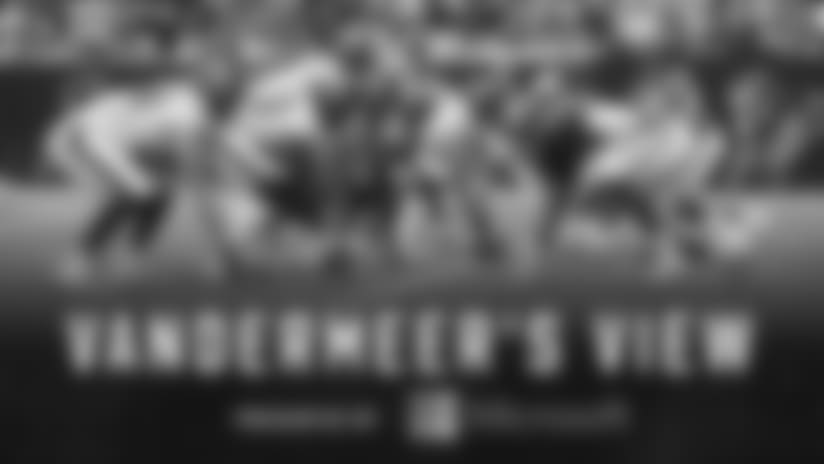 Vandermeer's View: A perplexing start