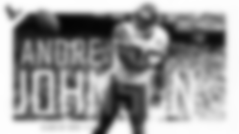 Andre Johnson to be inducted into Texas Sports Hall of Fame
