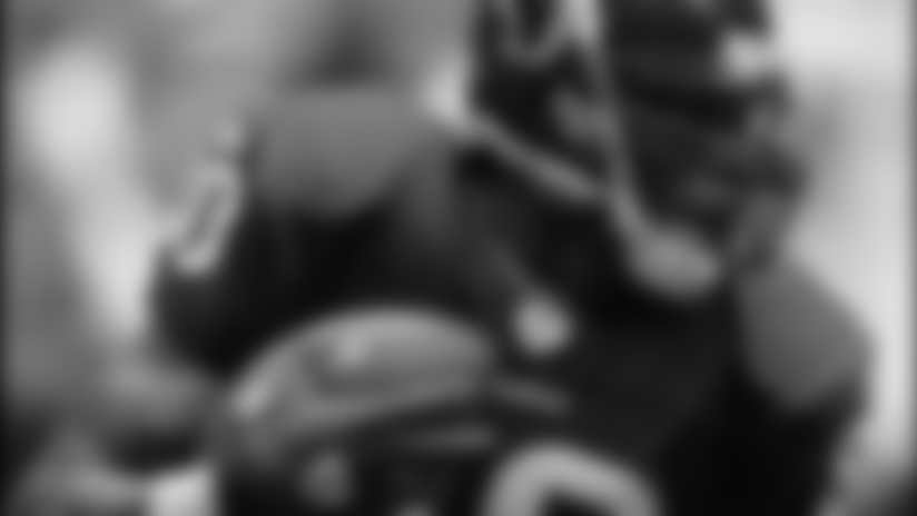 johnson_vikings101004.jpg