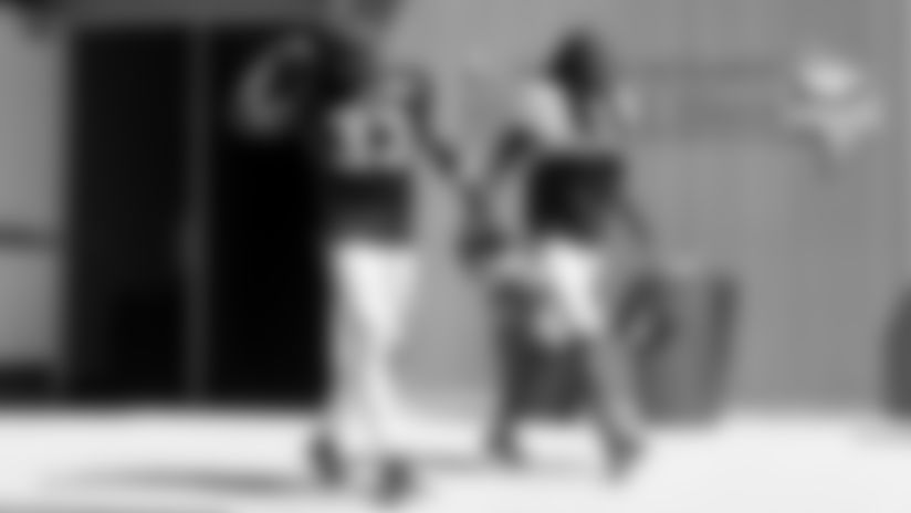Ant-Dalvin-2560
